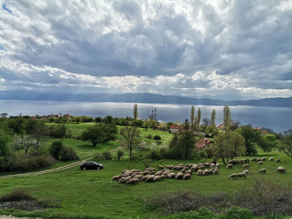 Villa Grkasha Ohrid Kültér fotó