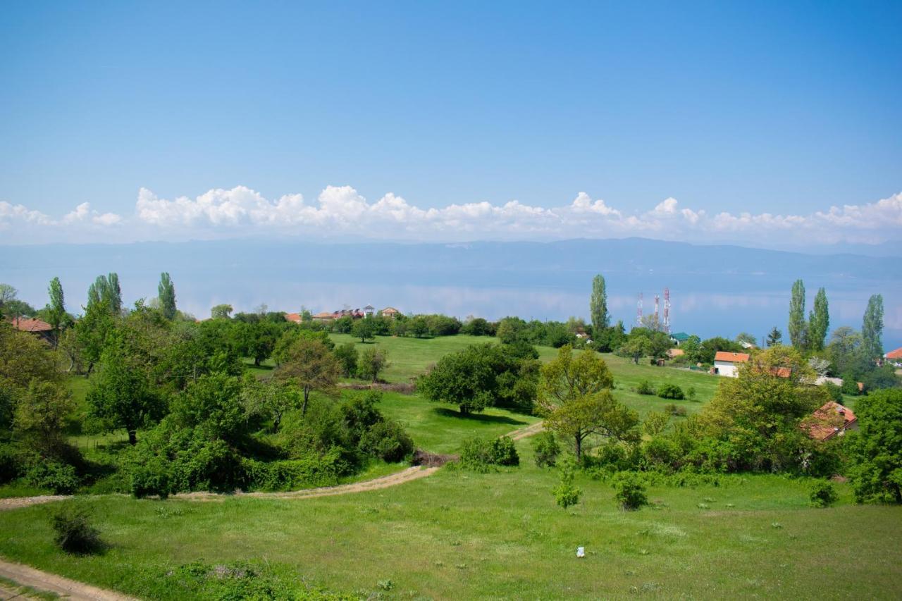 Villa Grkasha Ohrid Kültér fotó